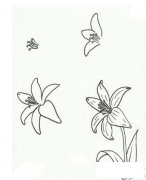 四步漂亮的百合简笔画画法_怎么画四步漂亮的百