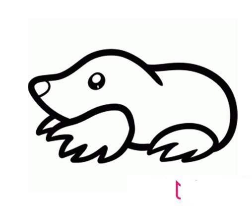 好看的动物简笔画大全,鼹鼠简笔画