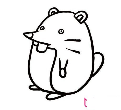 好看的动物简笔画大全,鼹鼠简笔画
