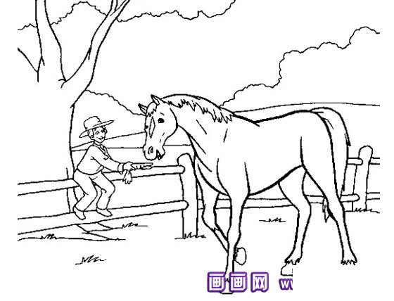 简笔画：休息的马