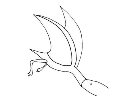 翼龙简笔画图片