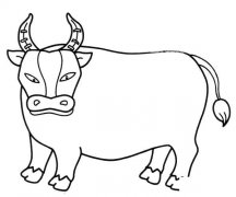 健壮的黄牛简笔画