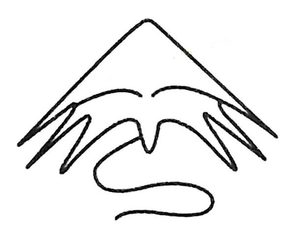 风筝简笔画大全及画法步骤