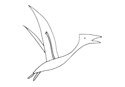 翼龙简笔画图片