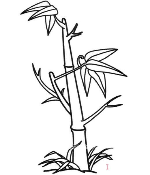 春天竹子怎么画简单好看竹子简笔画图片