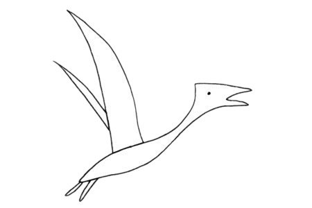 翼龙简笔画图片