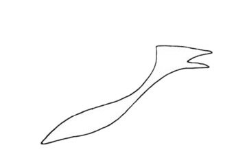 翼龙简笔画图片