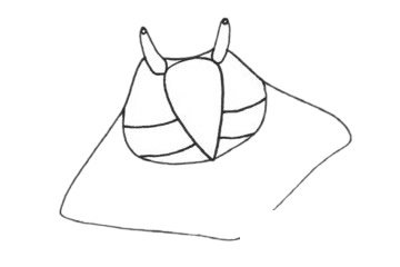 鳐鱼简笔画图片