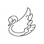 画一只正在休息的白天鹅