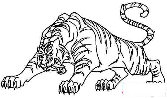 凶猛的老虎简笔画