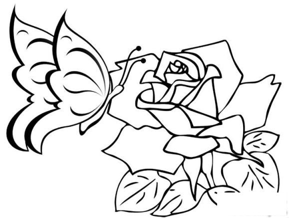 简笔画玫瑰花和蝴蝶的具体画法步骤图片教程