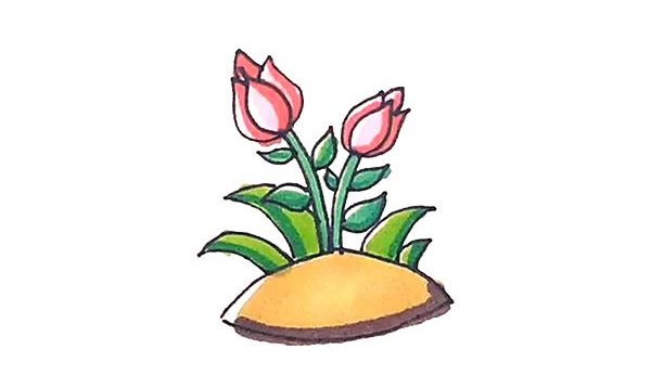 月季花简笔画的画法