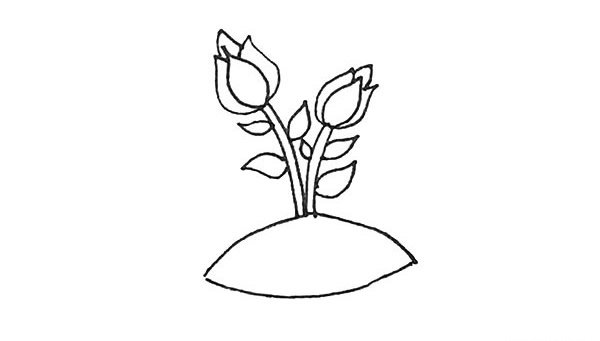 月季花简笔画的画法