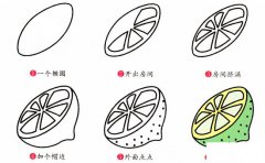 青柠檬简笔画步骤图片大全