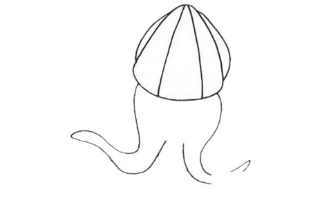 乌贼简笔画图片