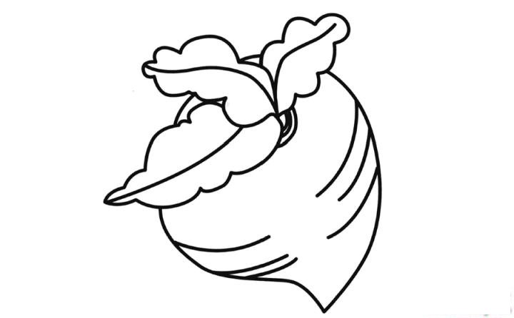 彩色简笔画水萝卜的图片教程