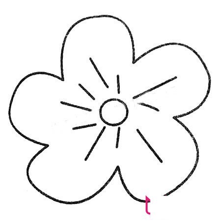 漂亮的简笔画花大全，梅花简笔画