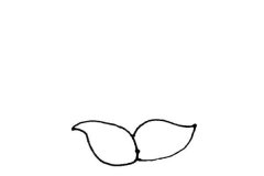 豌豆射手简笔画步骤图文教程