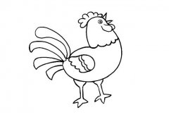 金鸡报晓简笔画图片素材