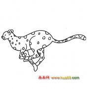 动物简笔画-跳跃的豹子