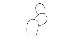 仙人掌盆栽简笔画画法步骤教程