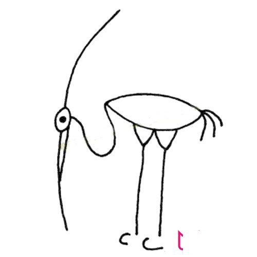 简单的动物简笔画大全，丹顶鹤简笔画