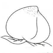 教你画幼儿:桃子简笔画