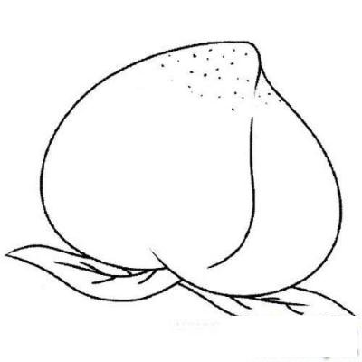 幼儿简笔画：桃子