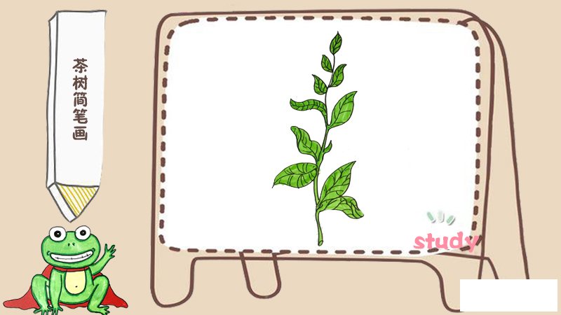 茶树简笔画