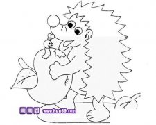 小刺猬吃苹果简笔画3