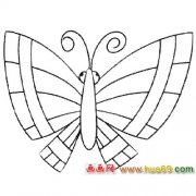 蝴蝶简笔画：舞出美丽5