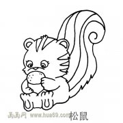 儿童简笔画:大尾巴松鼠