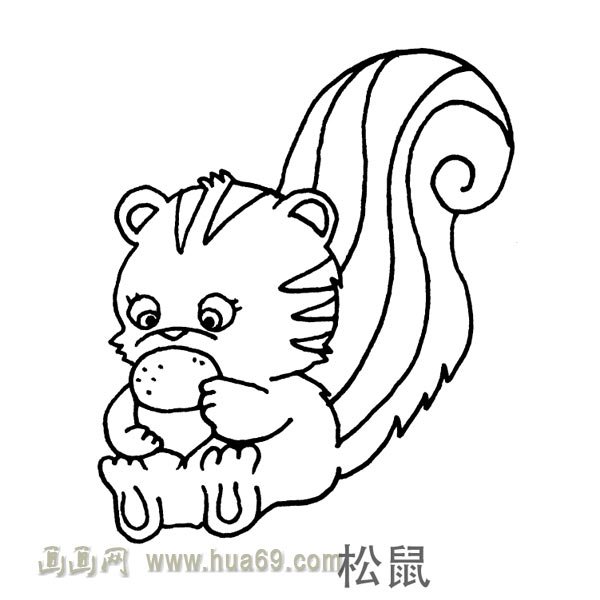 儿童简笔画：大尾巴松鼠