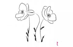 美丽的罂粟花简笔画大全