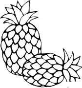 两棵菠萝水果简笔画步骤图片大全