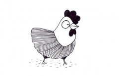 可爱小公鸡简笔画图片大全