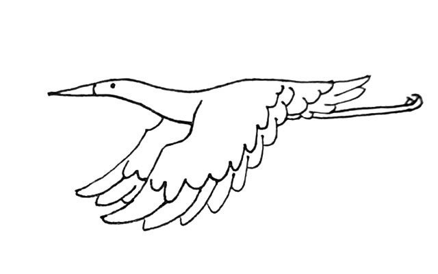 飞翔的丹顶鹤简笔画