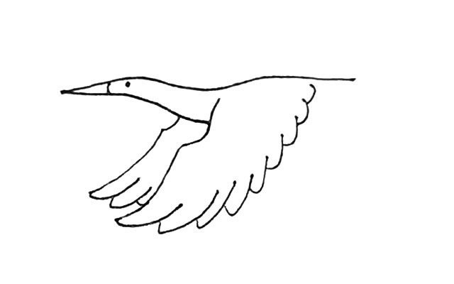 飞翔的丹顶鹤简笔画