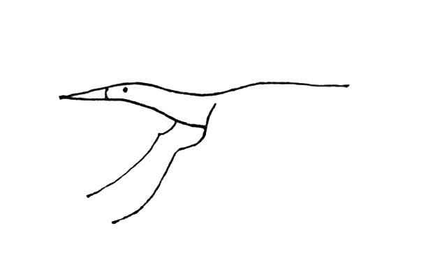 飞翔的丹顶鹤简笔画