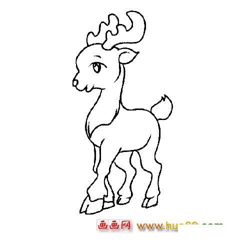 漂亮的小梅花鹿动物简笔画