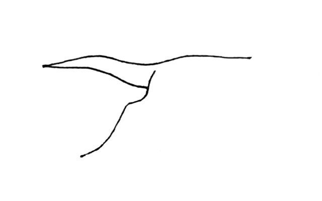 飞翔的丹顶鹤简笔画