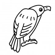 秃鹰动物简笔画步骤图片大全