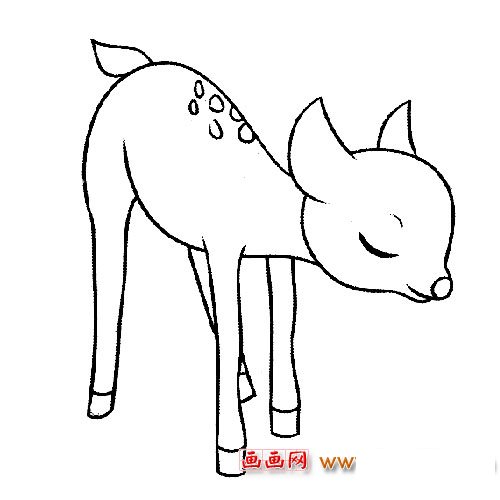 低头的小梅花鹿动物简笔画