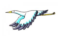 飞翔的丹顶鹤简笔画步骤图解教程