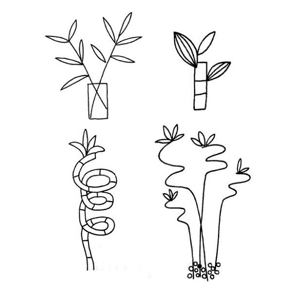 富贵竹简笔画图片大全