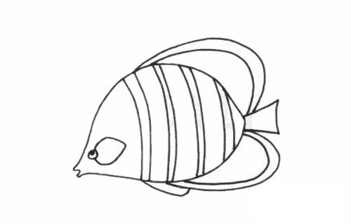 接吻鱼简笔画图片
