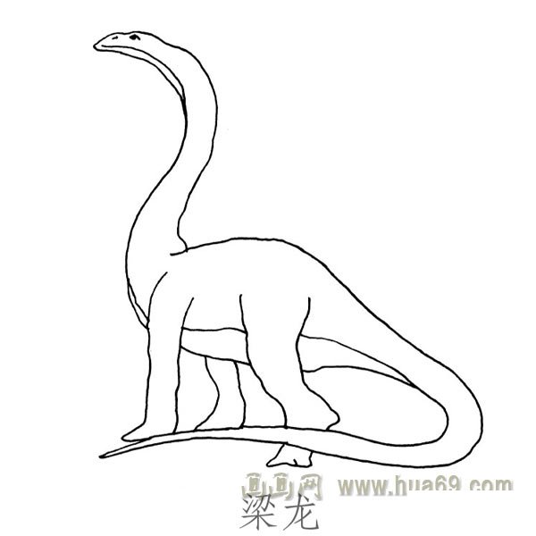 儿童简笔画恐龙：梁龙