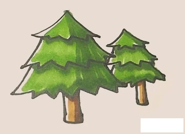 松树简笔画图片