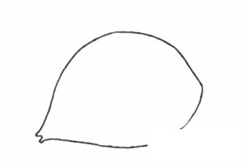 接吻鱼简笔画图片