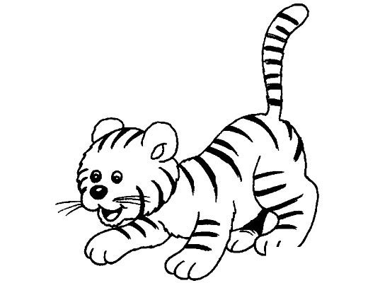 一只长得像猫的老虎简笔画